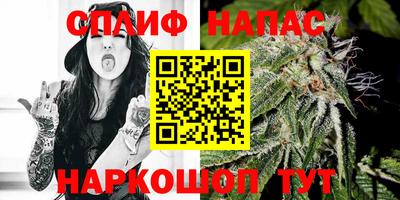 крисы Севастополь