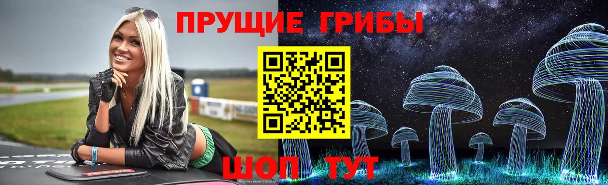 хочу   Псилоцибиновые грибы прущие грибы  Реутов  Вход с VPN  Галлюциногенные грибы MAGIC MUSHROOMS 